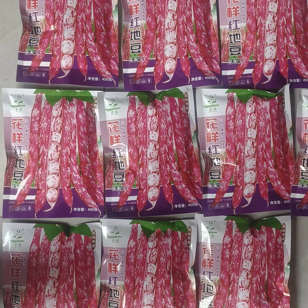 高产无架家雀子原装蔬菜种子可种植豆角