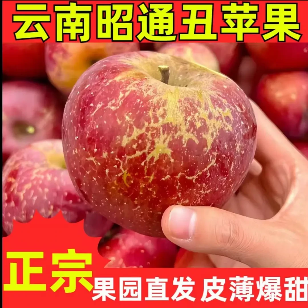 云南昭通丑红露新鲜水果云南特产高原种植皮薄肉脆清甜新鲜