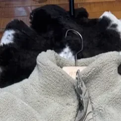 上衣免烫保暖加绒立领羊羔绒外穿时尚收口袖