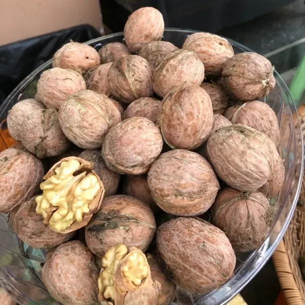 正宗新疆纸皮核桃香味浓郁新鲜老树高山生核桃孕妈妈必备去青皮