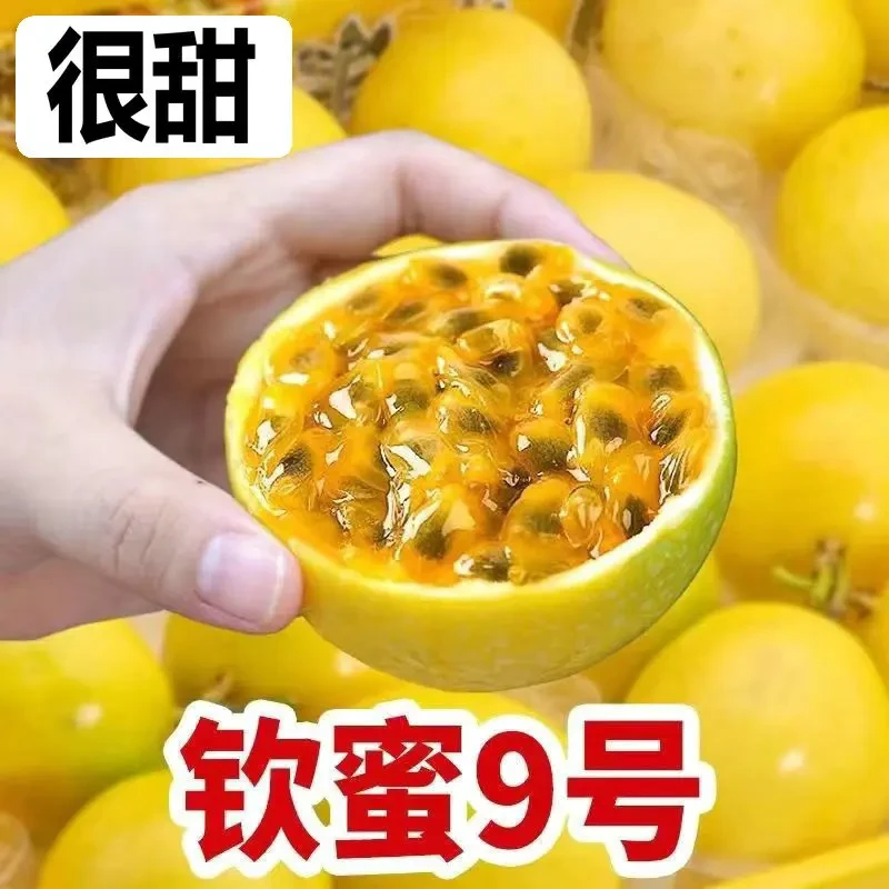 【新】广西新鲜水果黄金百香果现摘头茬钦蜜9号特大超甜白香果10