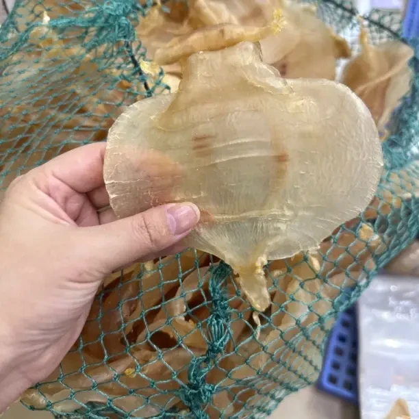 618南澳自晒滋补的深海赤嘴鱼胶干货