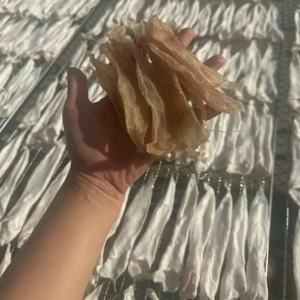 深海日晒小白花100头85头