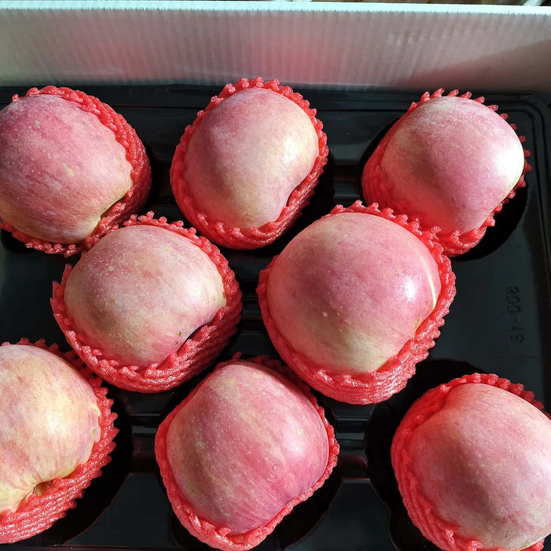 正宗烟台栖霞富士苹果当季新鲜脆甜多汁