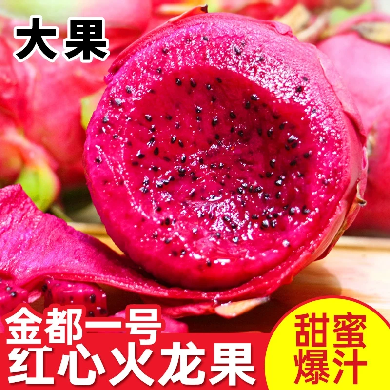 广西原产地红心火龙果蜜宝京都一号树上自然成熟当季新鲜包邮热卖