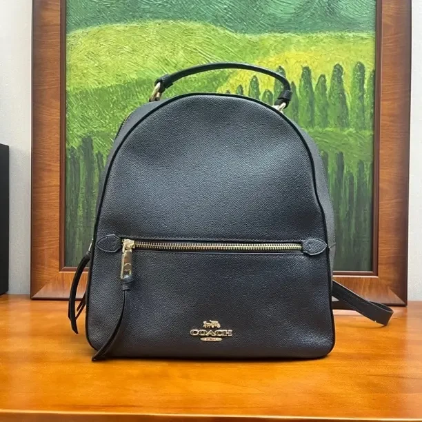 95新 COACH/蔻驰 双肩包/27*10*31/A568