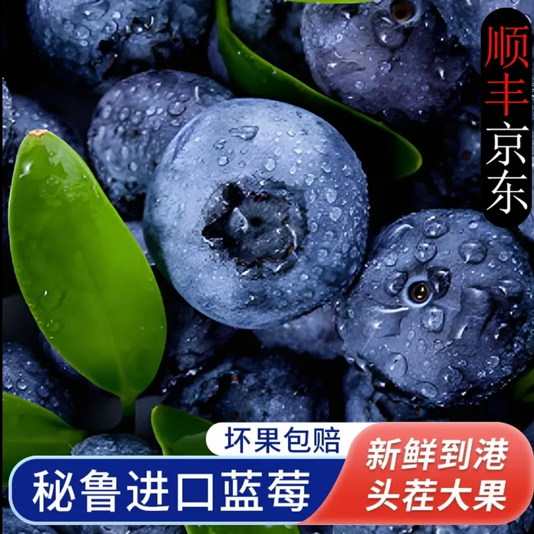 【现货】秘鲁进口蓝莓当季新鲜采摘酸甜水果孕妇水果果径14-18mm+