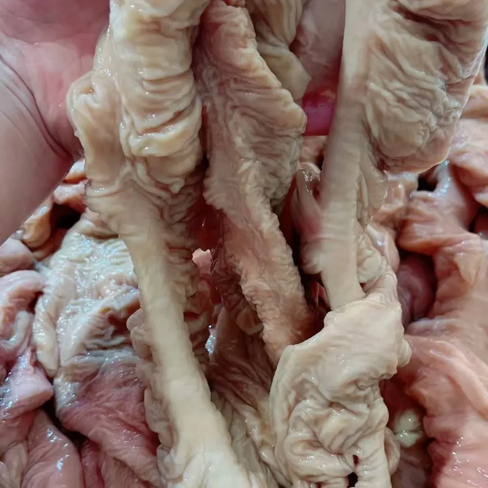 马中粗板肠精修去油肠子厚实没有小细肠