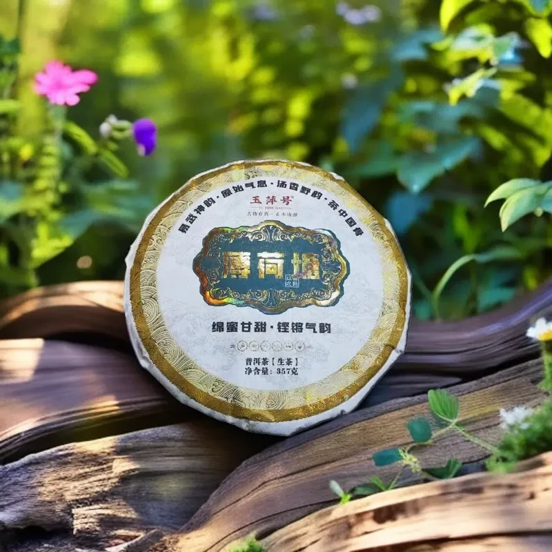 【以茶之铭】玉萍号·薄荷塘357g普洱生茶（带茶样）绵密甘甜·铿锵气韵