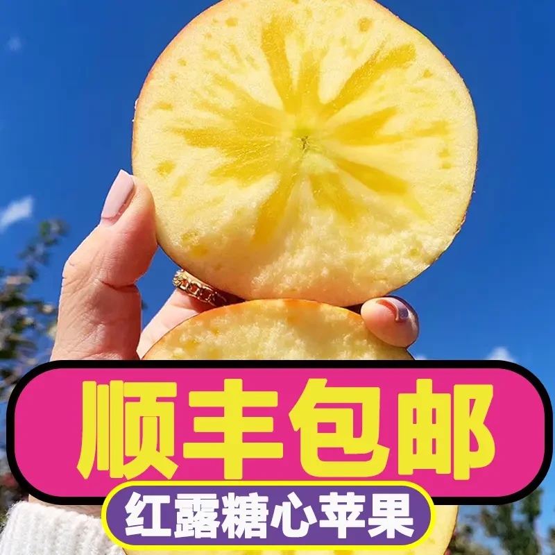 【顺丰包邮】云南红露糖心苹果新鲜现摘脆甜多汁25年鲜果上市