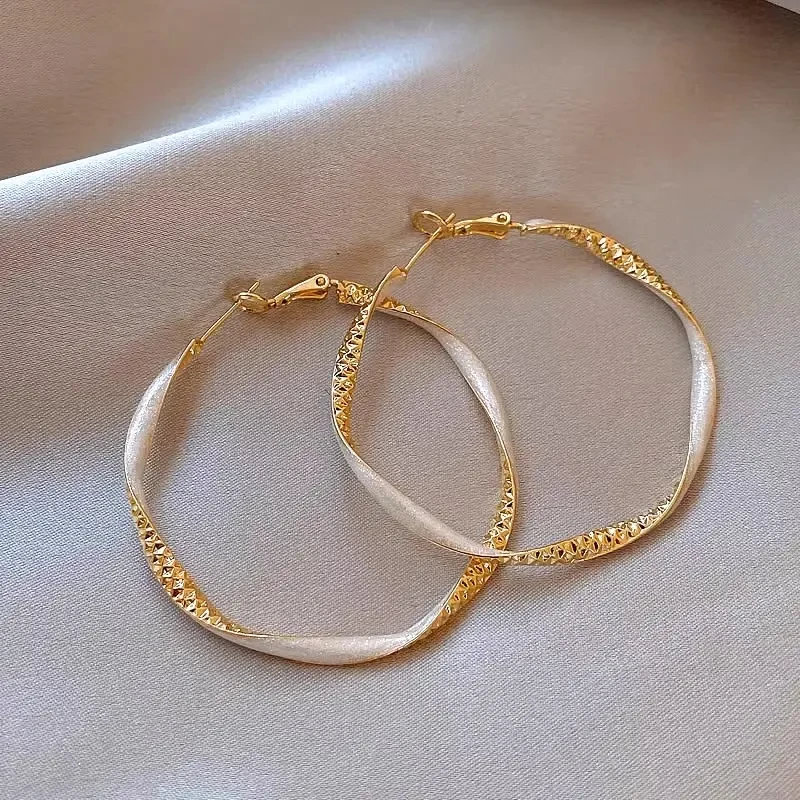 合金耳饰 合金耳饰 红色扭纹大圆圈耳环女小众设计耳饰品新款夸张