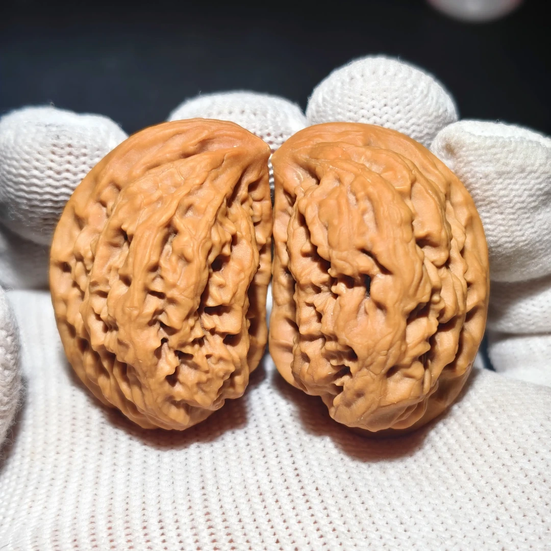 纯野生鸡心异形半臂57尺肚子33全品无修一物一图075