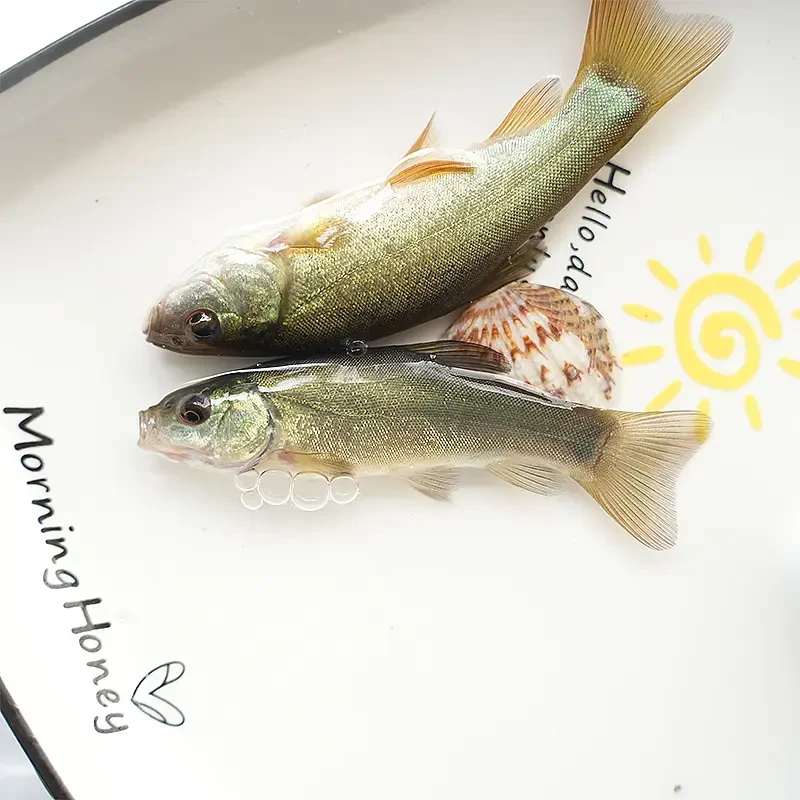 （按斤）四川丁桂鱼每条110g左右生态养殖