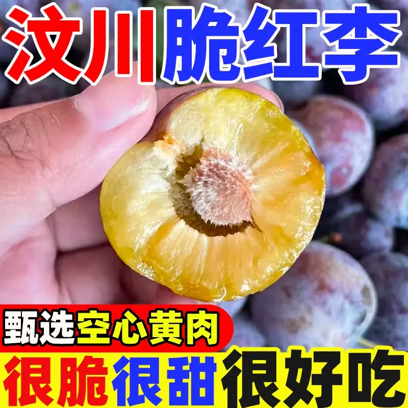 四川高山脆红李小脆红新鲜现摘应季水果黄肉脱骨脆甜多汁