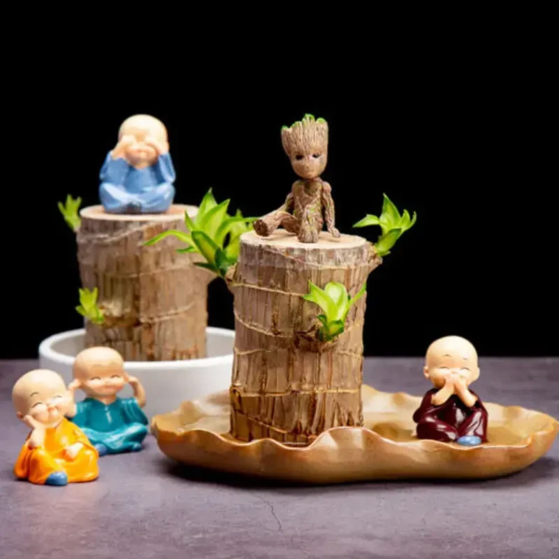 懒人植物巴西木驱蚊虫开花格鲁特木人桌面绿植盆栽室内客厅幸运木