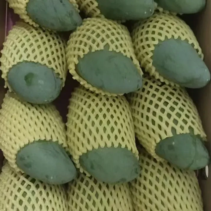 正宗广西田东桂七香芒新鲜采摘现摘现发水果