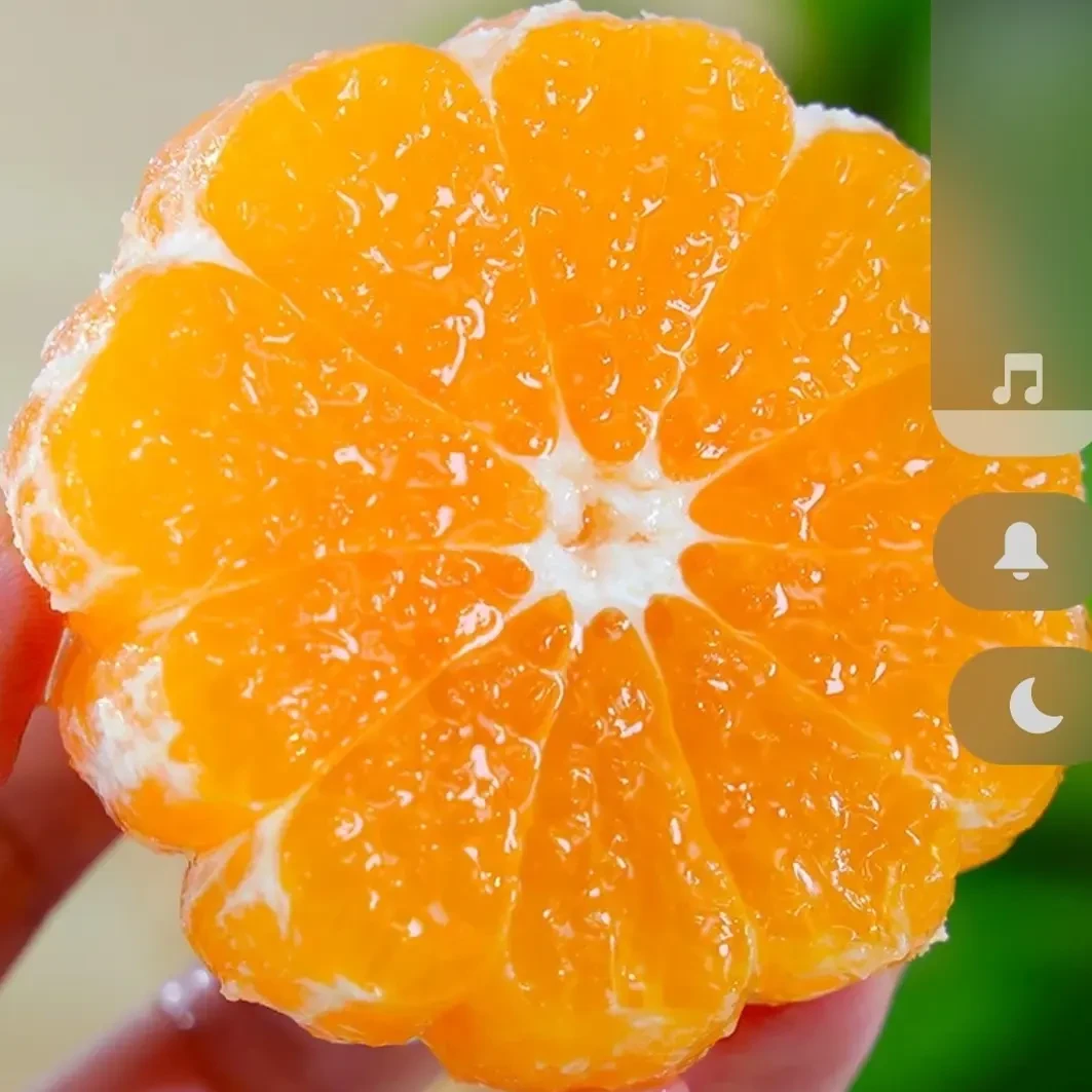 四川眉山爱媛38号果冻橙新鲜现摘应季水果酸甜细嫩多汁