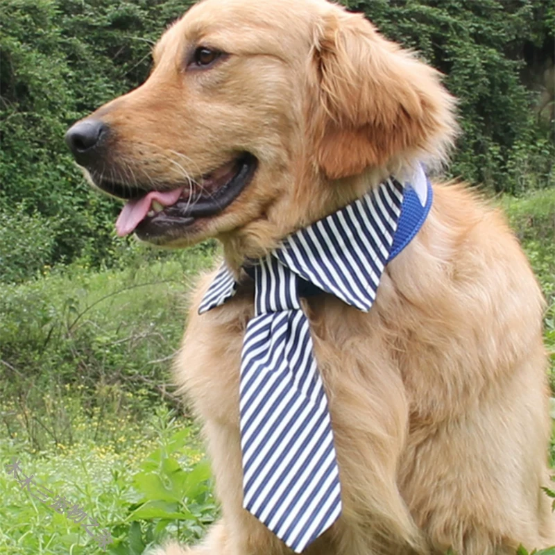 宠物领带领巾狗领带中大型犬金毛拉布拉多狗狗条纹领带领结狗饰品