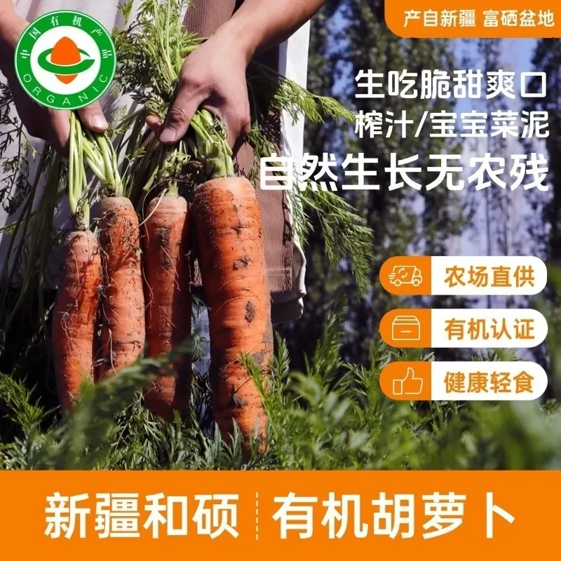 【新疆直发】新疆有机富硒胡萝卜自然生长脆甜爽口新鲜现摘现发