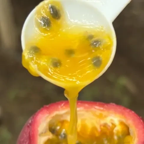 云南当季新鲜水蜜桃味百香果果肉饱满汁水丰盈