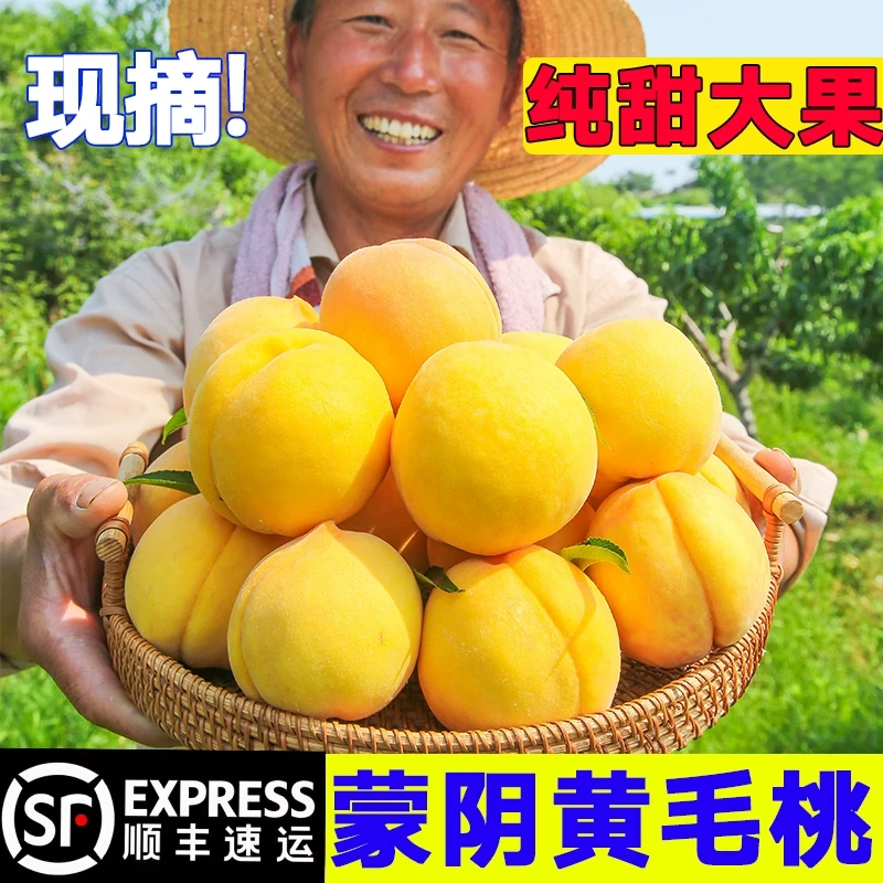 【顺丰次日达】正宗蒙阴黄金蜜桃毛桃脆甜产地直发现摘山东省