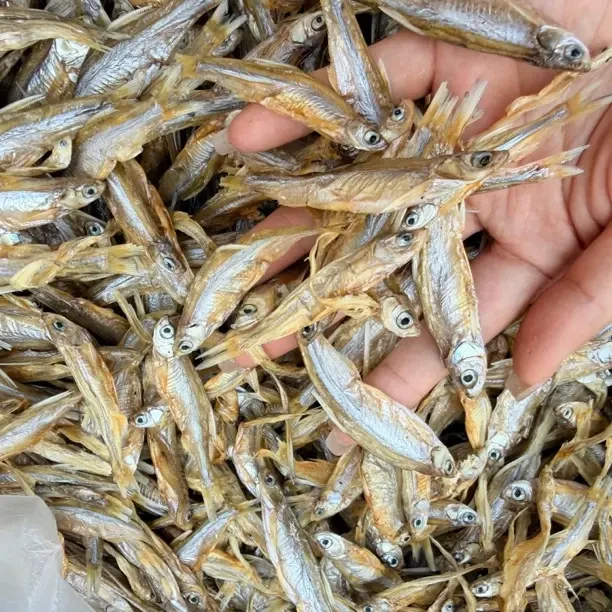 江西小白肖鱼干货