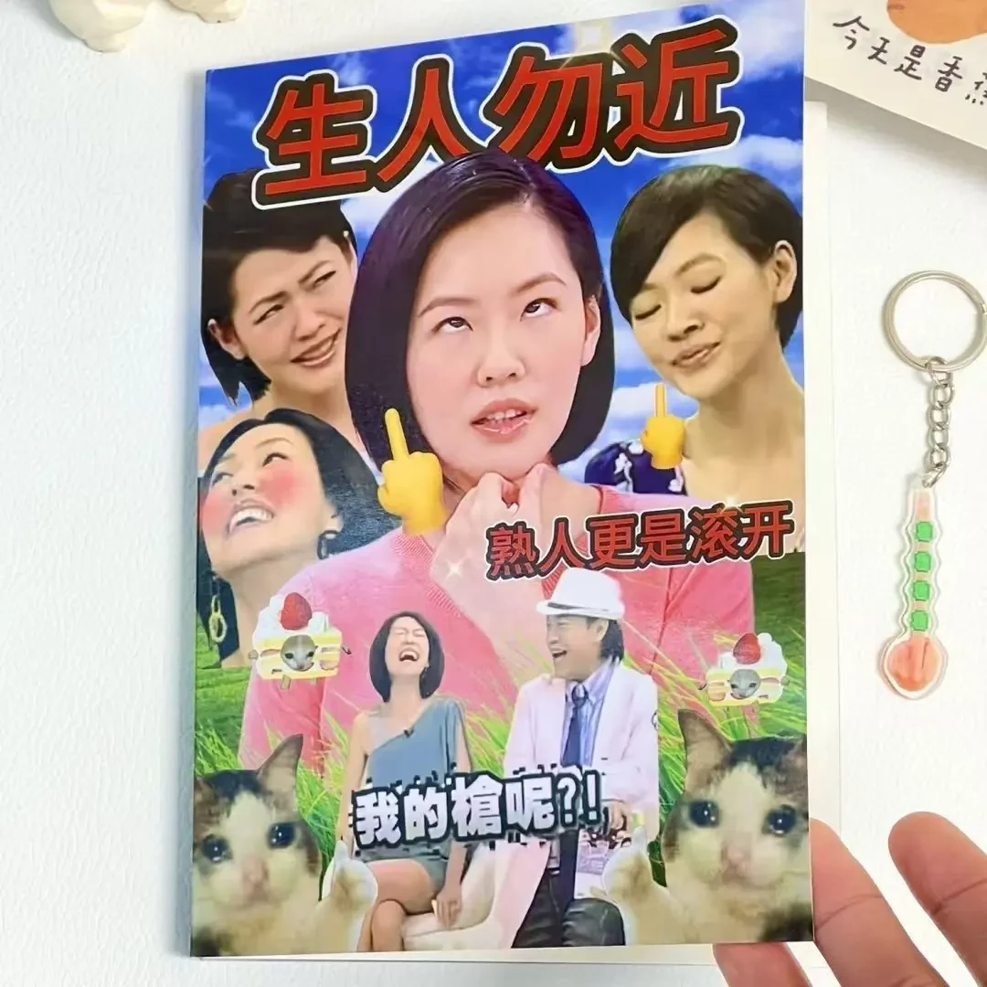 【重生】生人勿近梗图贴纸书DIY手账中式素材创意贴纸趣味贴画抽象