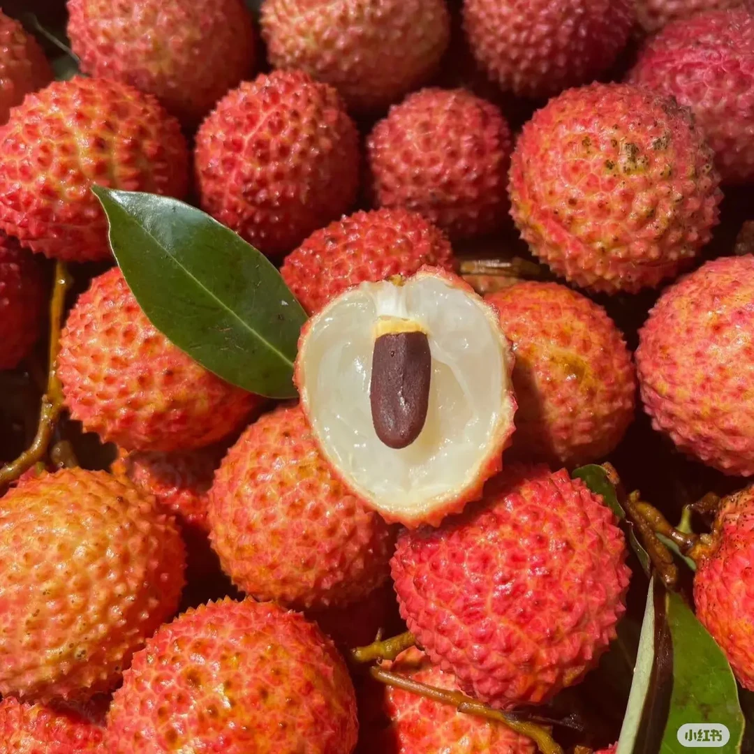 广东正宗新鲜现摘桂味荔枝当季水果1斤广东省