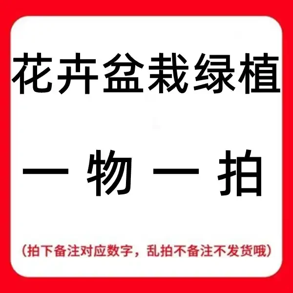 一物一拍，自定义价格