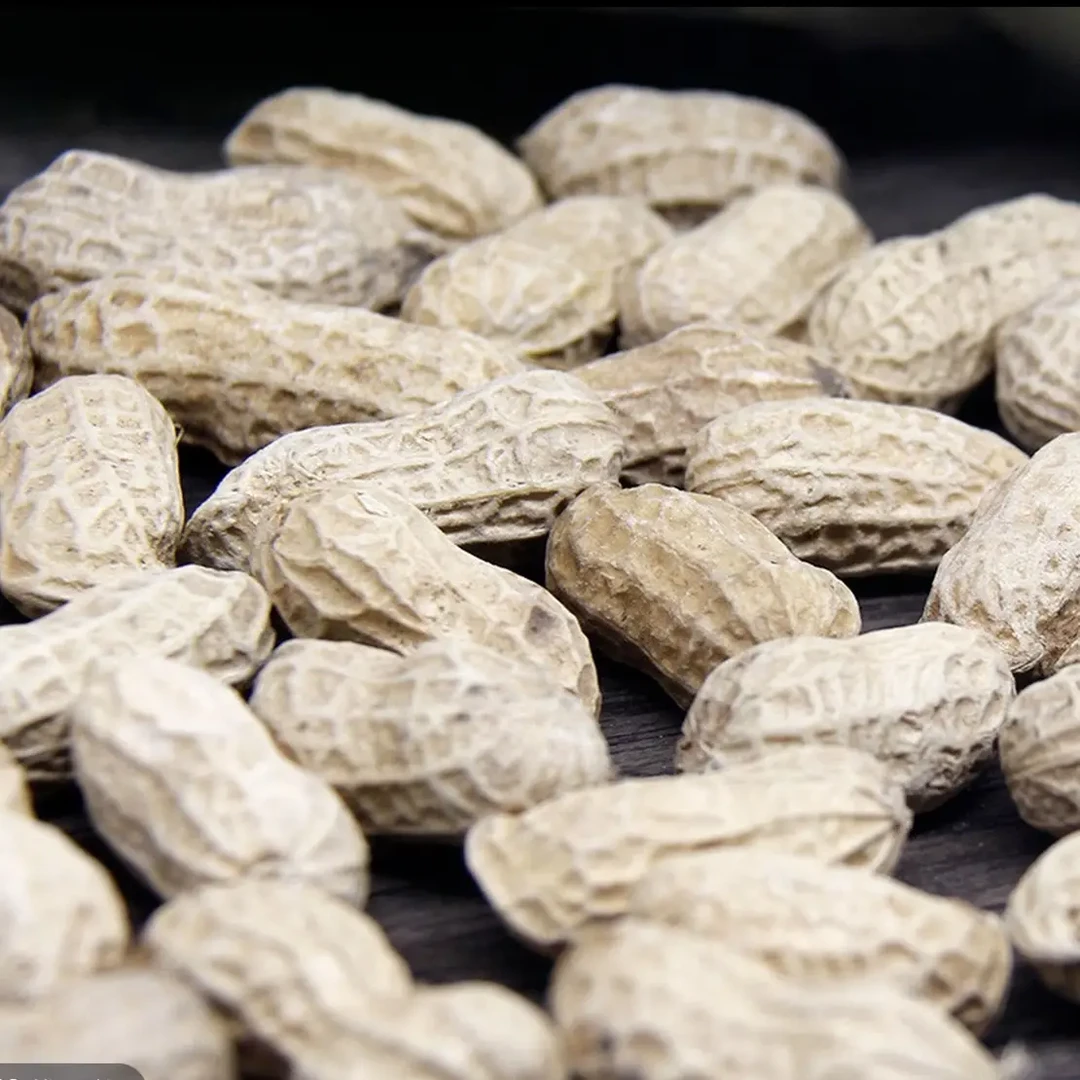 岱山特产沙洋花生