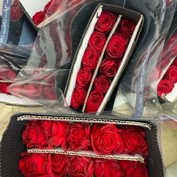 (20把起发)20支珍爱+20支皇家探险家玫瑰(花店配货)