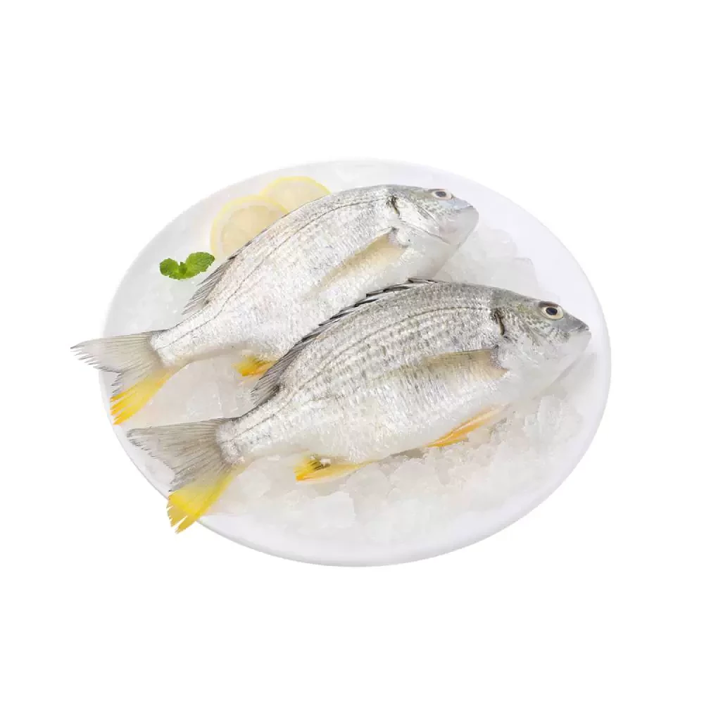 冰鲜本港黄脚立 300g /盒