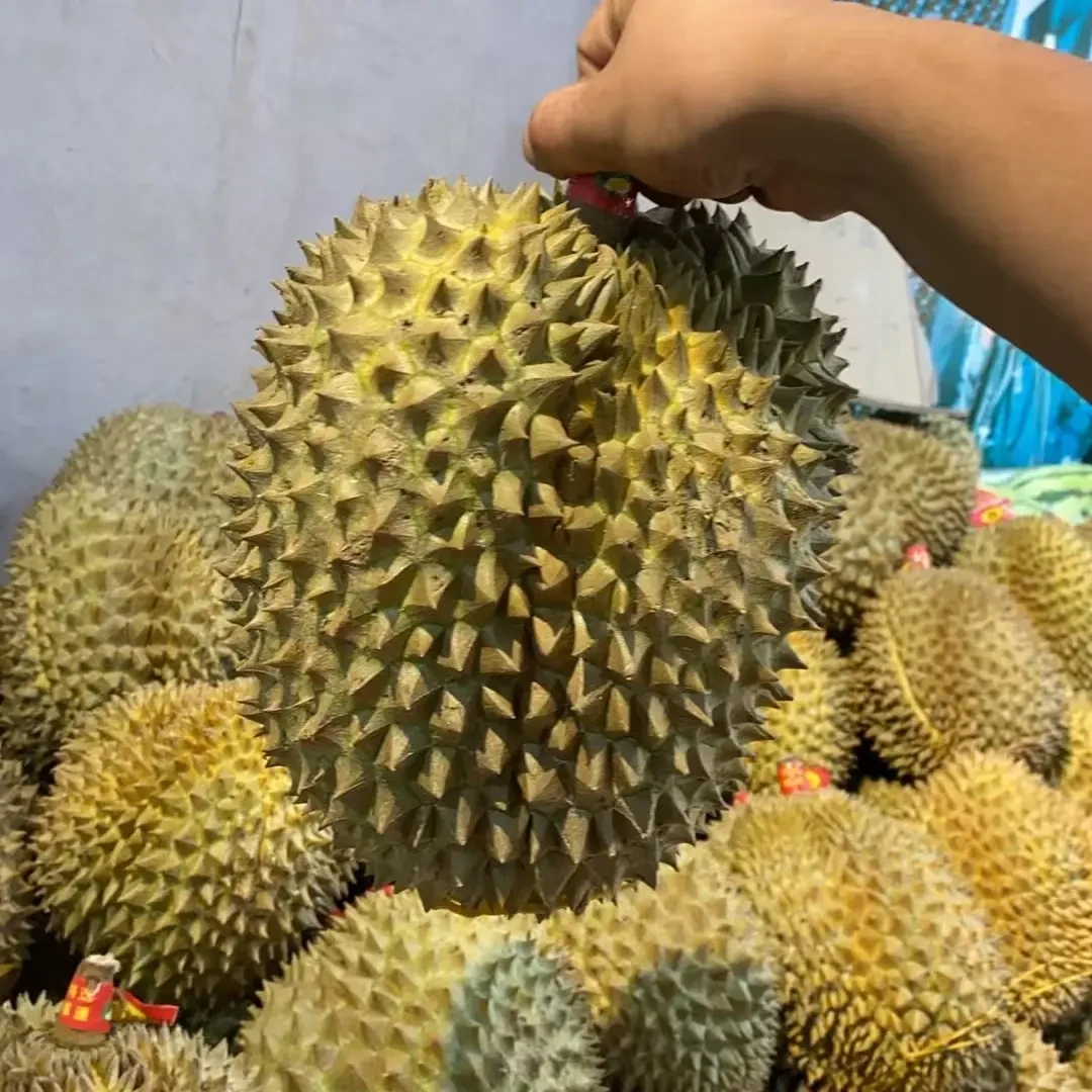 泰国树熟金枕鲜榴莲核小软糯香甜 68元一斤 跑腿到家榴莲同城配金枕泰国