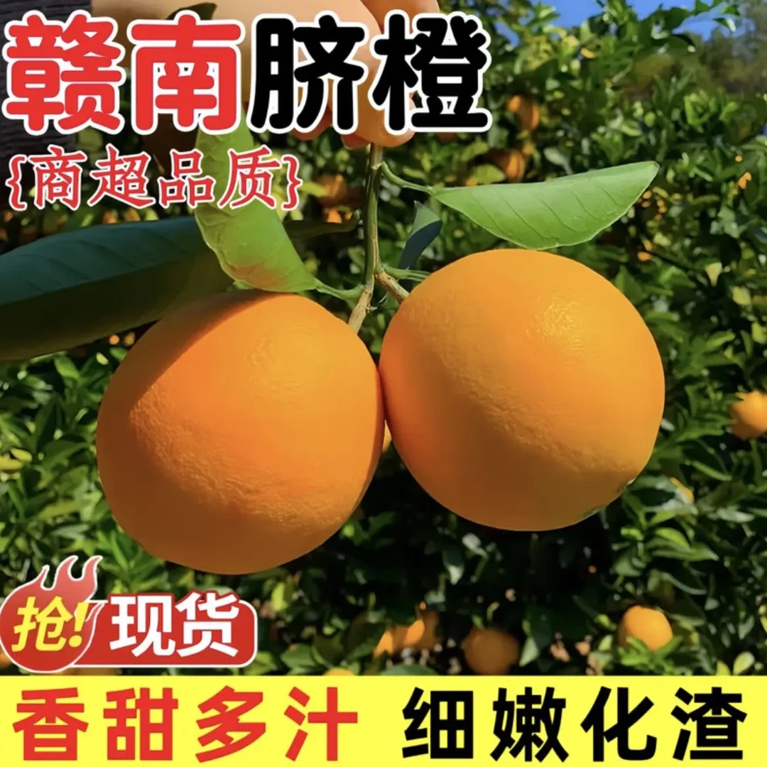 20斤装正宗赣南脐橙自家果园现摘现发应季鲜果高瑞精品甜橙