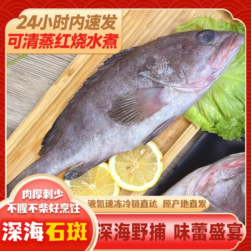 【凌晨上岸】新鲜速冻海捕石斑鱼 无冰净重 Q弹厚实无杂刺
