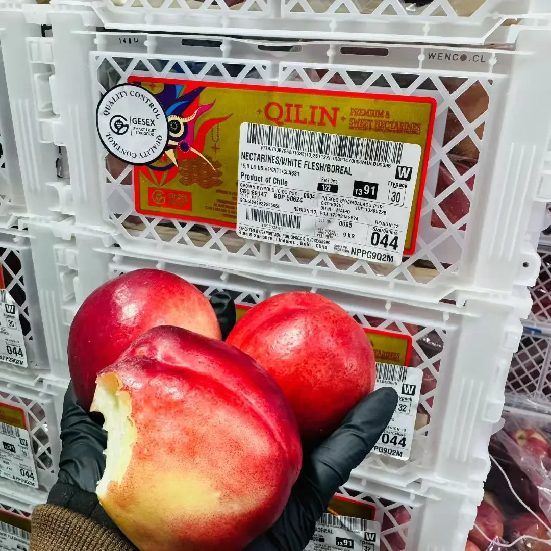 智利进口油桃 新鲜脆甜多汁 沈阳京东发货