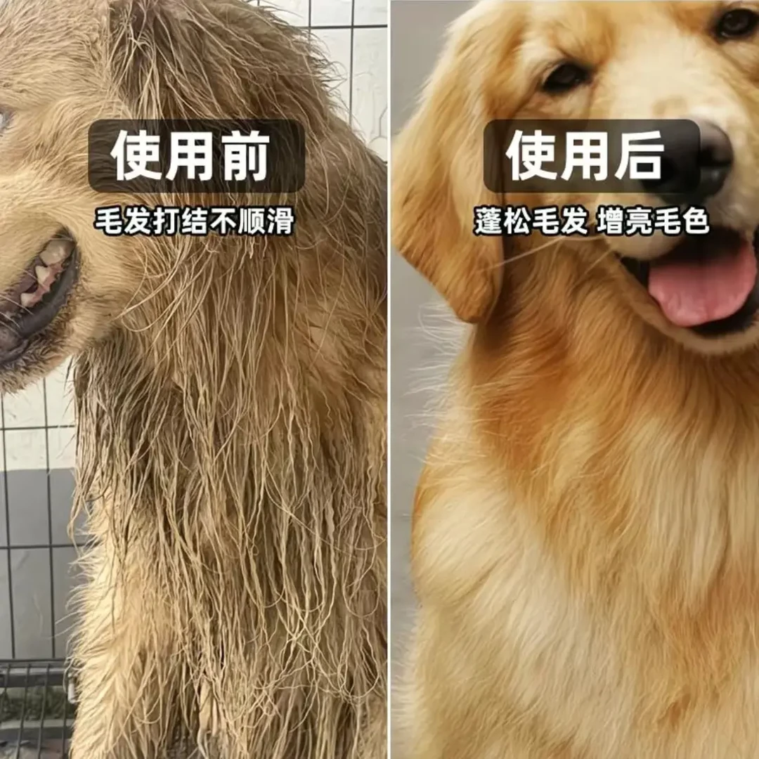 狗狗专用沐浴露除臭除螨增白幼犬洗护二合一持久留香