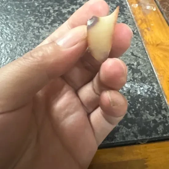 天然琥珀蜜蜡原石