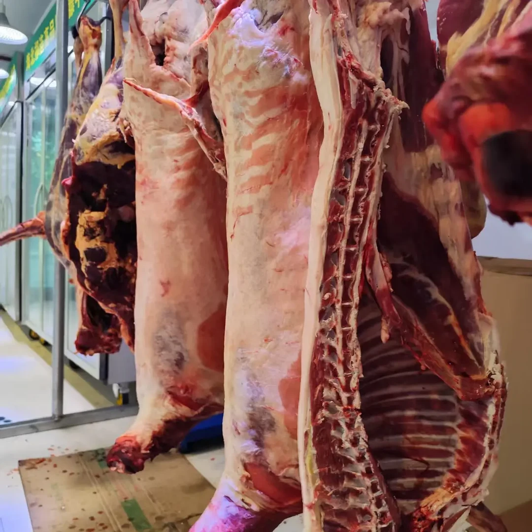 青藏祁连散养纯草膘羊半只