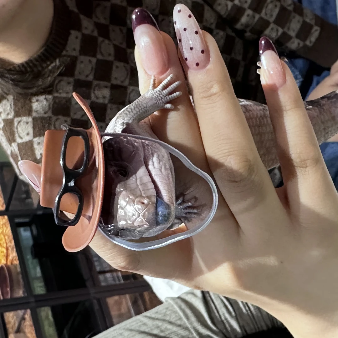 【家庭版】爬宠互动门票(两大两小)