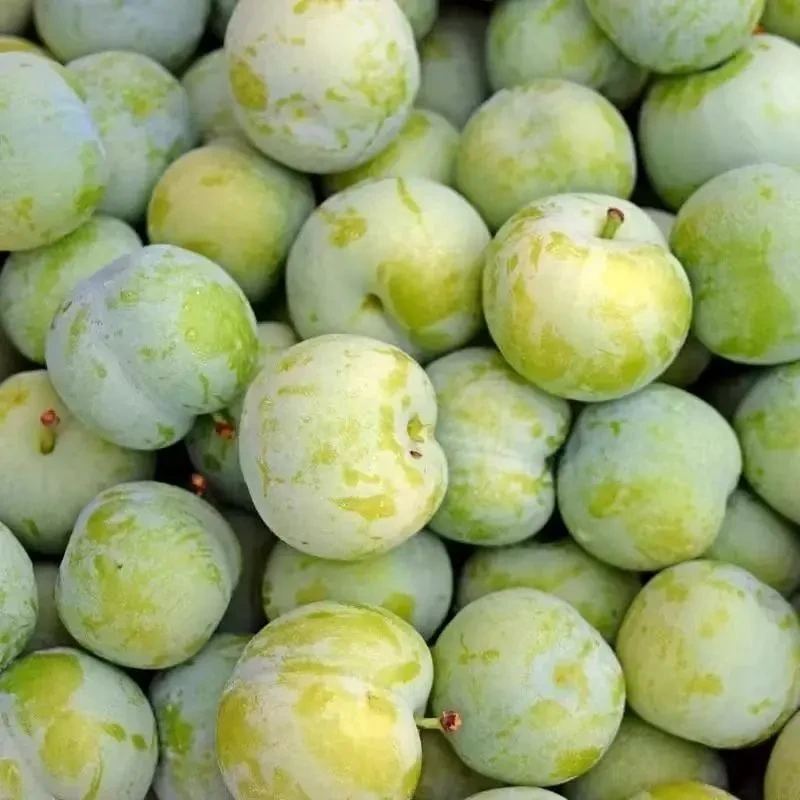 【酸甜脆李】云南正宗地道青脆李脱骨李冰糖李子孕妇新鲜水果