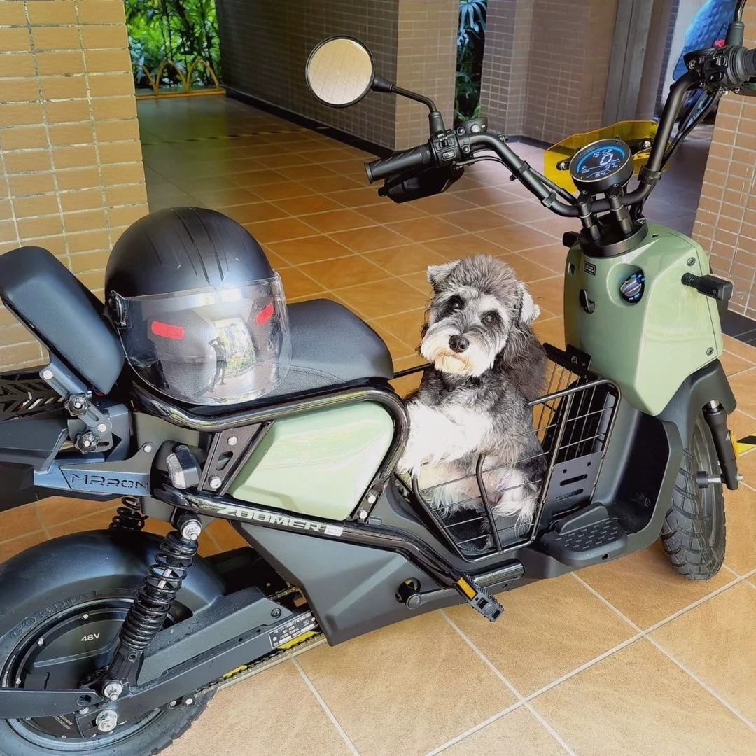 2025电动车狗狗车筐宠物猫咪座椅后座架置物筐车篮子后货架单车篮