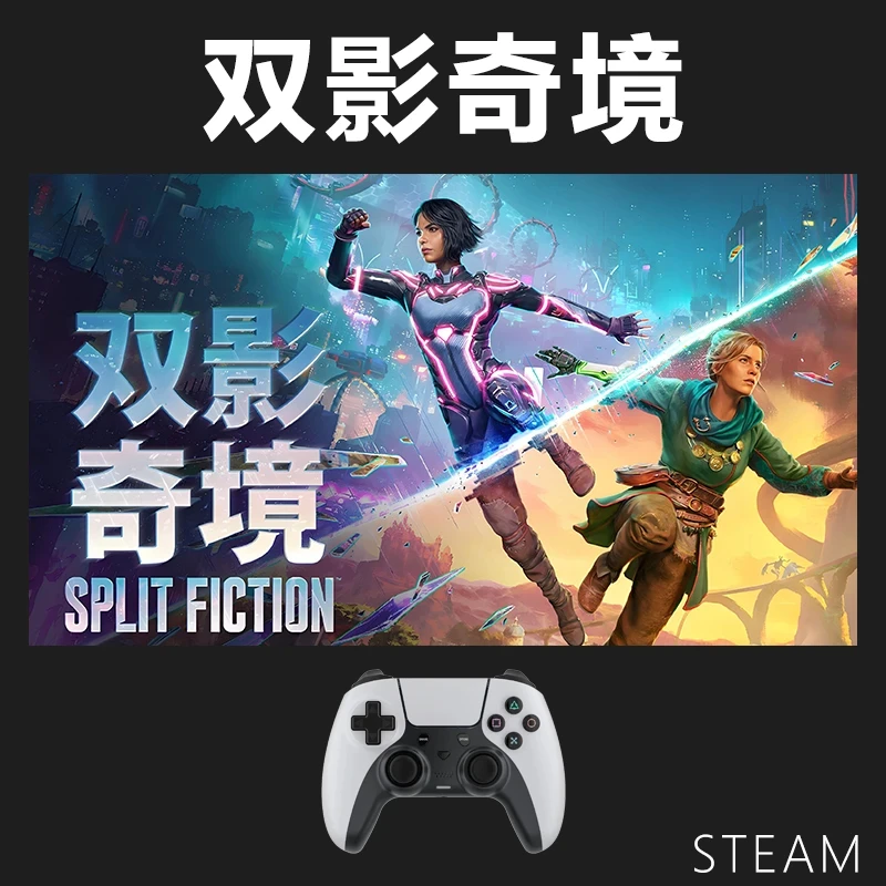 【可联机】双影奇镜入库支持游戏支持 PC无线游戏手柄蓝牙有线双人