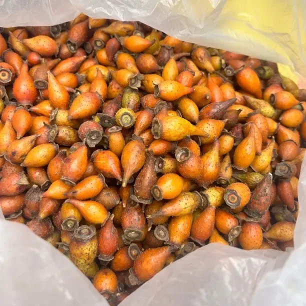 深山采摘野生新鲜金樱子可泡酒可泡水500g