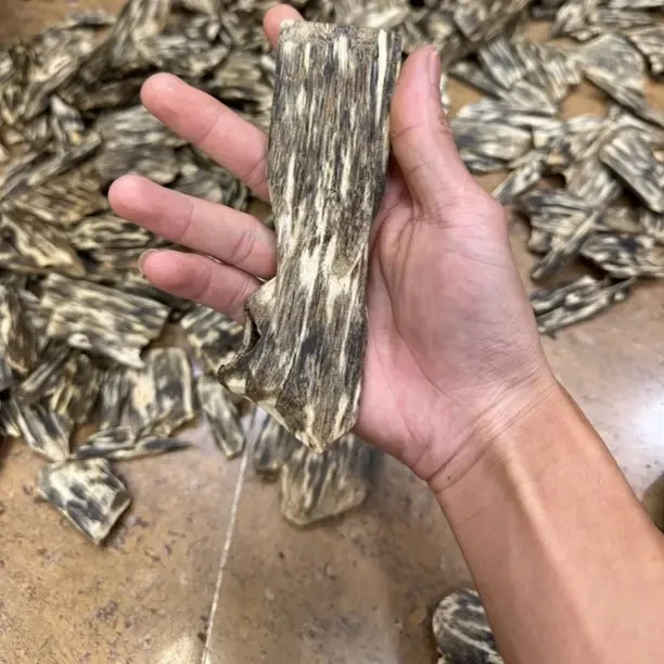 虫漏干熏 熏香原材料 多样性发一 直播链接