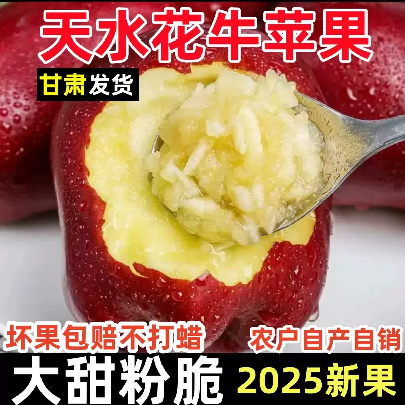 A甘肃天水花牛苹果新鲜当季水果粉面香甜整箱