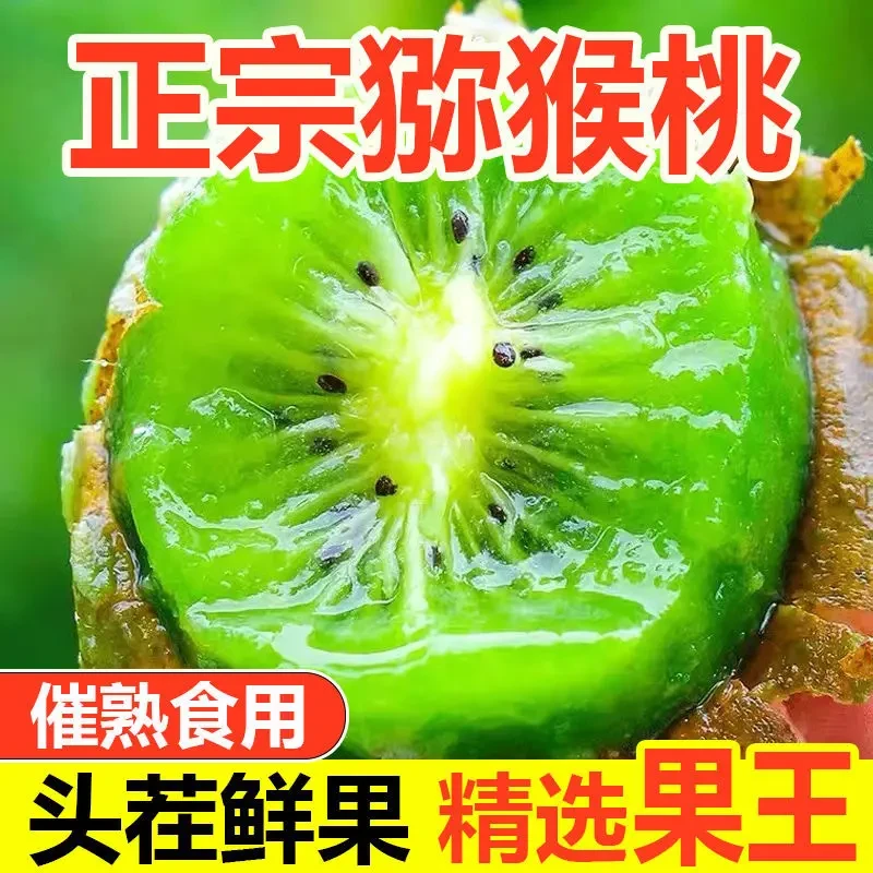 绿心猕猴桃新鲜采摘当季水果食用奇异果包邮K