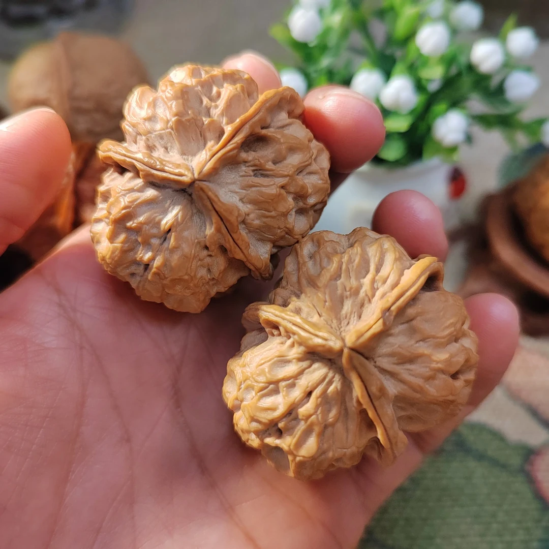 云南野生铁核桃三棱