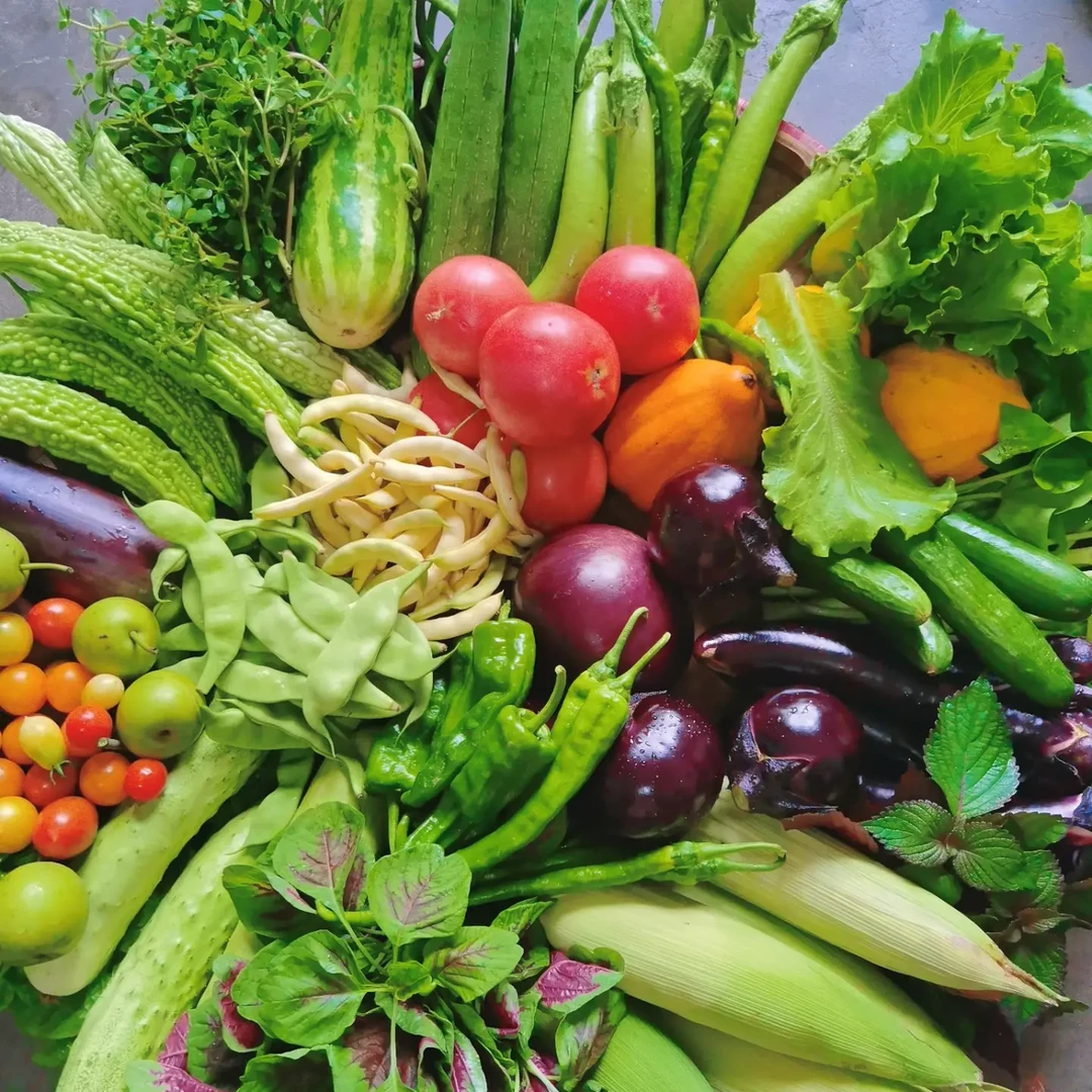 赶集蔬菜水果代购专属链接