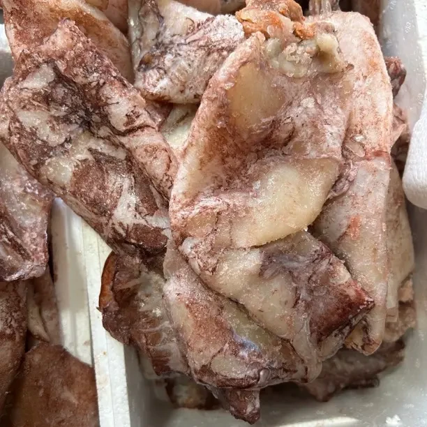 （鱿鱼筒）鱿鱼筒外地不发只发天津同城